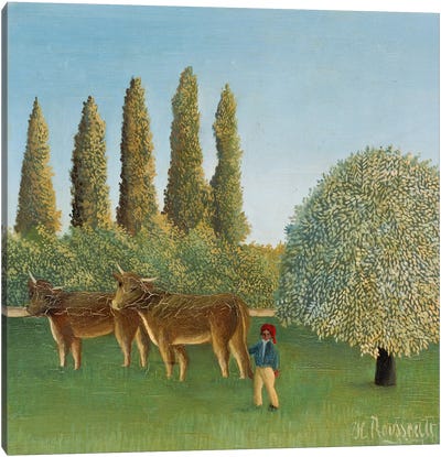 Meadowland (The Pasture), 1910 Canvas Art Print