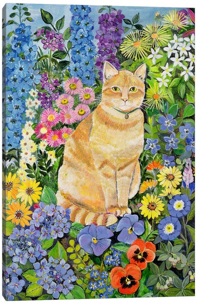 Gordon's Cat, 1996 Canvas Art Print