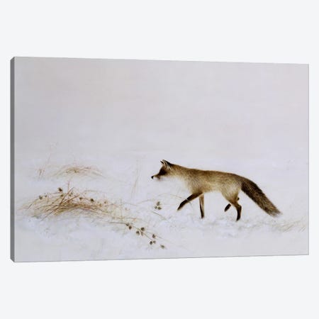 Fox In Snow Canvas Print #BMN13369} by Jane Neville Canvas Artwork
