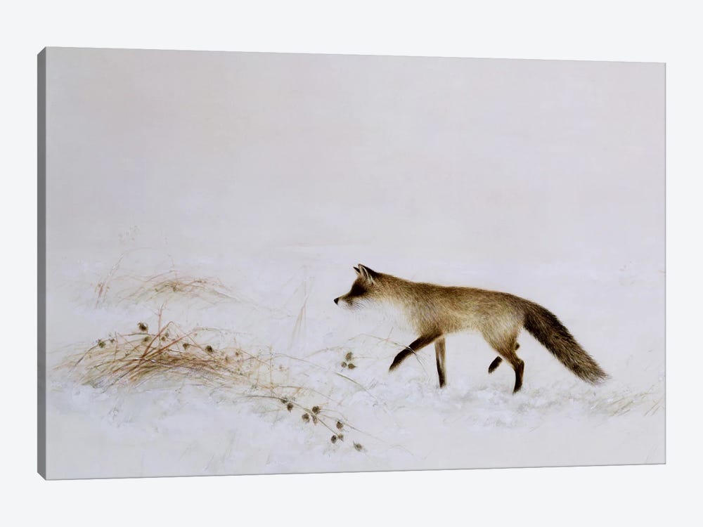Fox In Snow by Jane Neville 1-piece Canvas Art Print