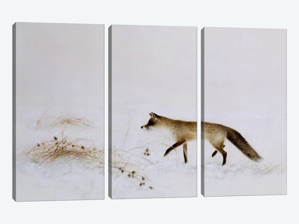 Fox In Snow by Jane Neville 3-piece Canvas Art Print
