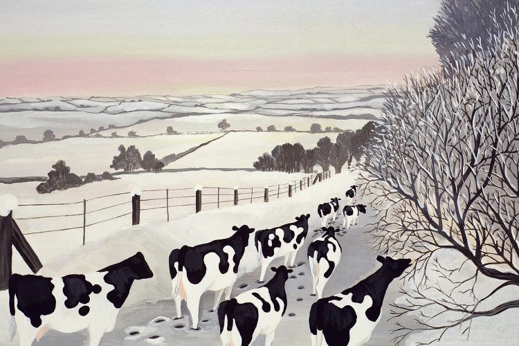 Friesians In Winter