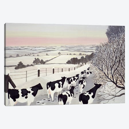 Friesians In Winter Canvas Print #BMN13407} by Maggie Rowe Canvas Art