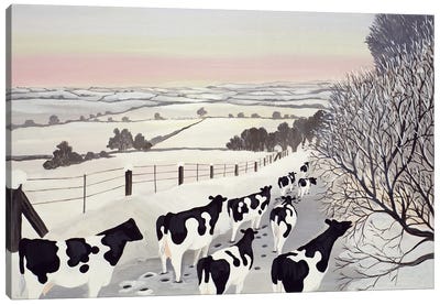 Friesians In Winter Canvas Art Print