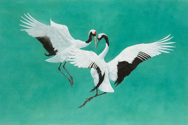 Cranes: The Dance-Green by Tim Hayward