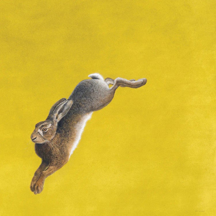 The Leap-Yellow by Tim Hayward wall art