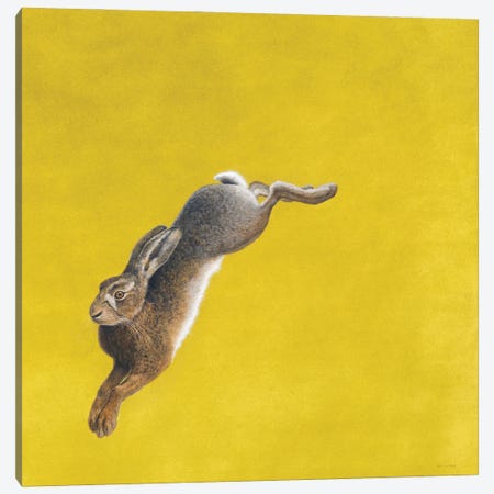 The Leap-Yellow Canvas Print #BMN13441} by Tim Hayward Canvas Art Print