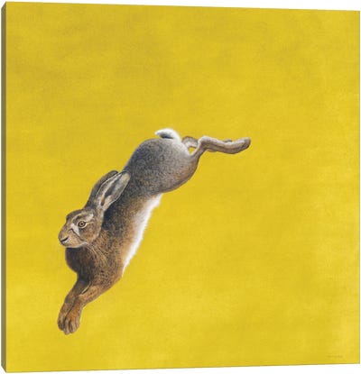 The Leap-Yellow Canvas Art Print