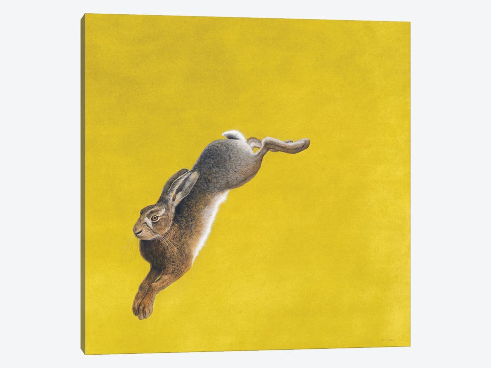 The Leap-Yellow by Tim Hayward 1-piece Canvas Artwork