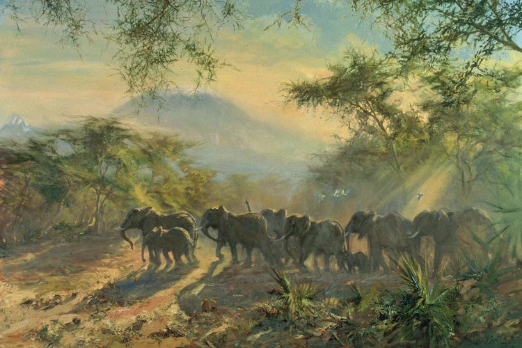 Elephant, Kilimanjaro, 1995