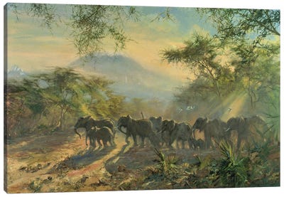 Elephant, Kilimanjaro, 1995 Canvas Art Print - Green Art