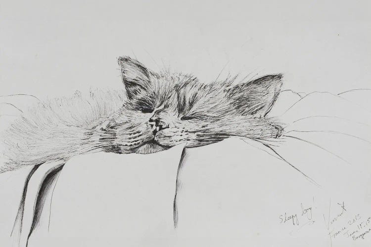 Monty Sleepy Boy, 2013 by Vincent Alexander Booth wall art
