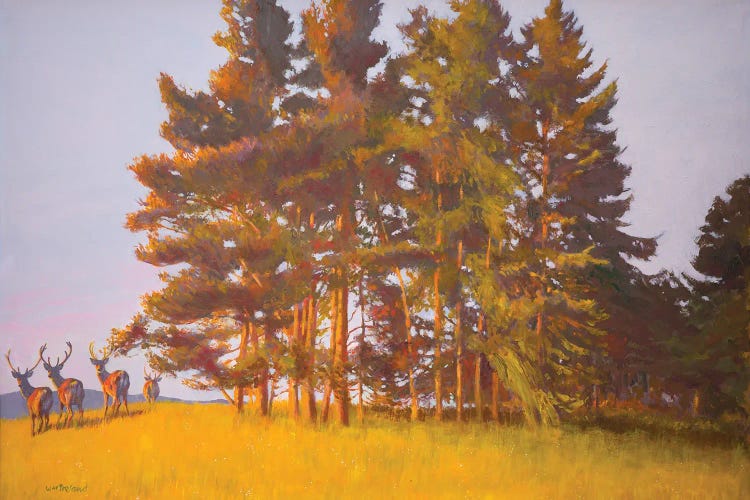 View From The Cabin by William Ireland wall art