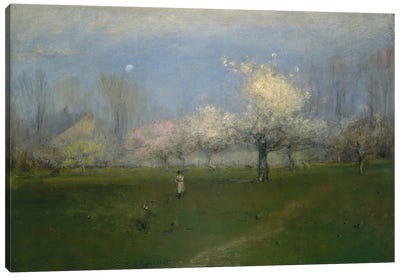Spring Blossoms, Montclair, New Jersey Canvas Art Print