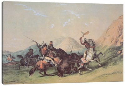 Native Americans Killing A Bear Canvas Art Print - George Catlin