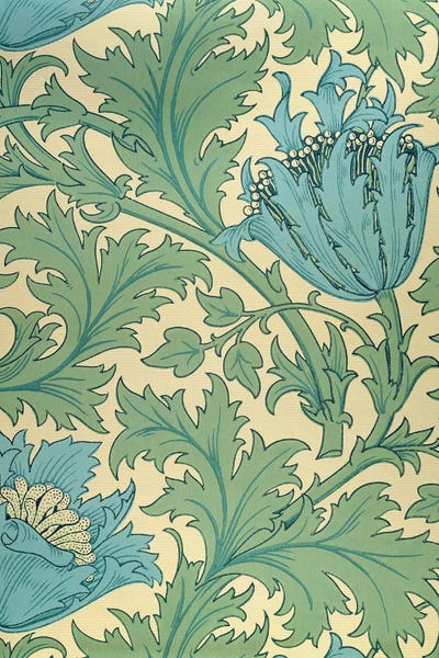 Botanical Illustrations: Anemone Design by William Morris