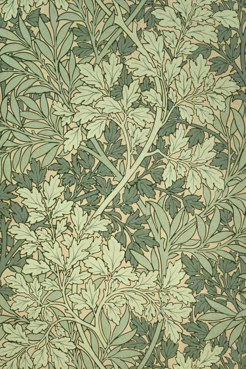 Foliage Wallpaper