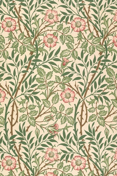 Botanical Illustrations: Sweet Briar Wallpaper Design by William Morris