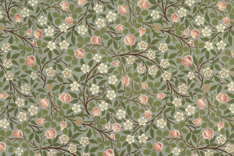 Small Pink And White Flower by William Morris wall art