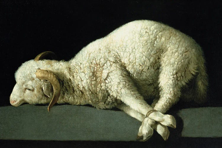 Agnus Dei by Francisco de Zurbaran wall art