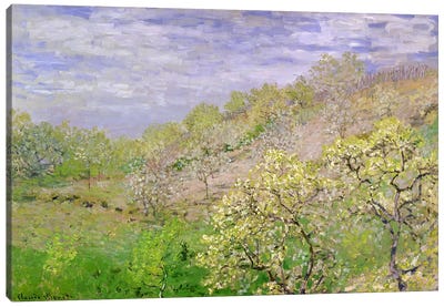 Trees in Blossom Canvas Art Print - Impressionism Art