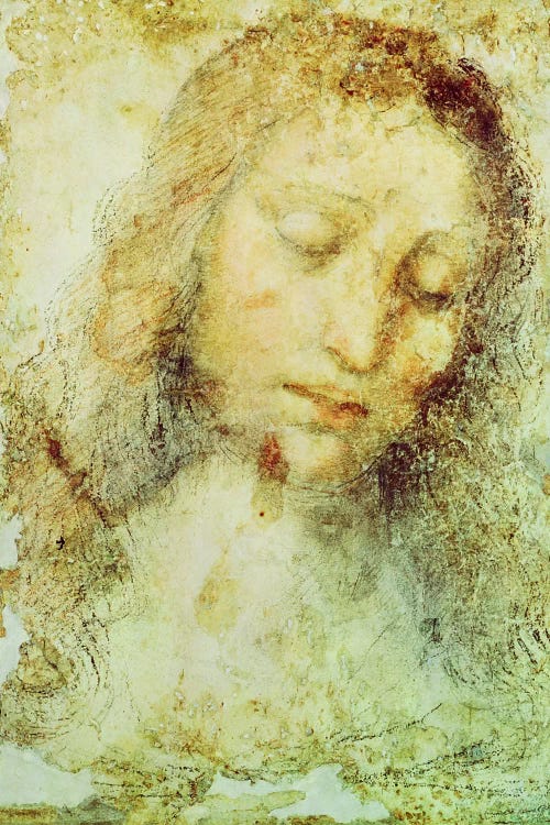 Head of Christ (Pinacoteca di Brera) by Leonardo da Vinci wall art