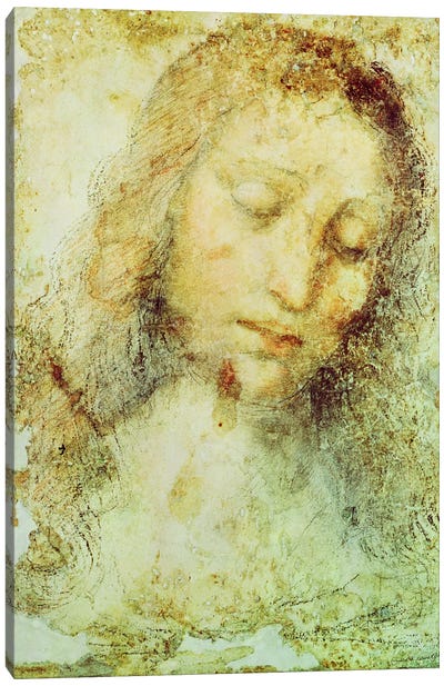 Head of Christ (Pinacoteca di Brera) Canvas Art Print - Leonardo da Vinci