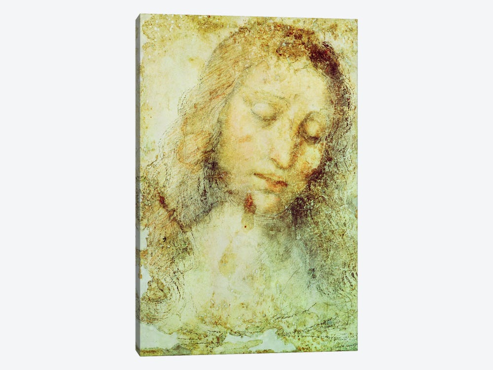 Head of Christ (Pinacoteca di Brera) by Leonardo da Vinci 1-piece Art Print