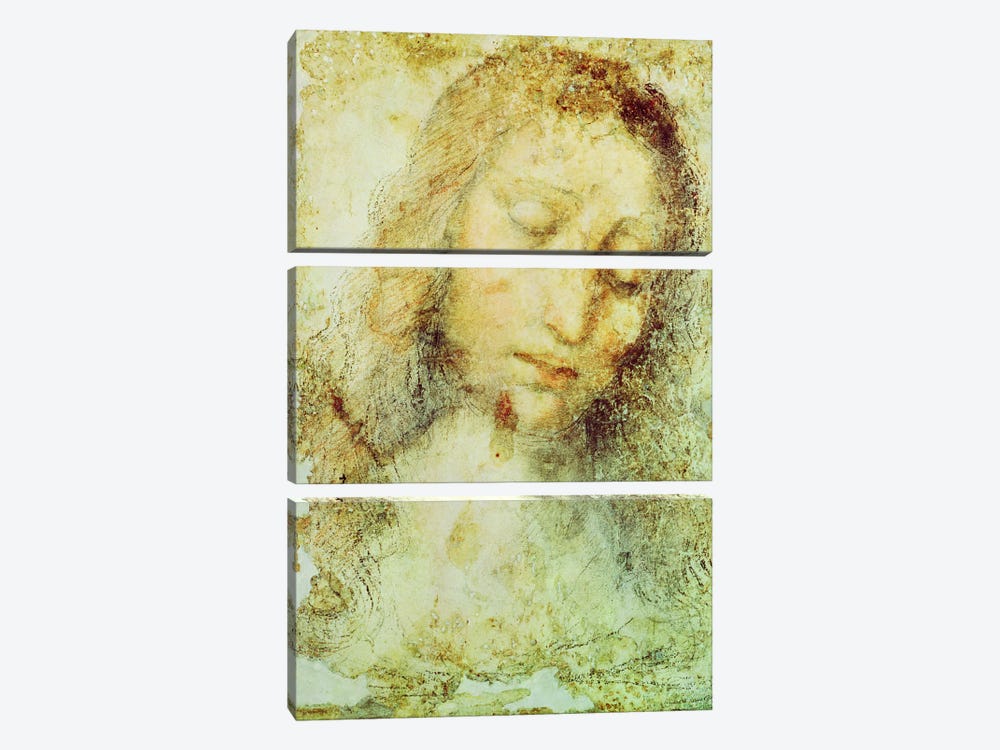 Head of Christ (Pinacoteca di Brera) by Leonardo da Vinci 3-piece Canvas Print
