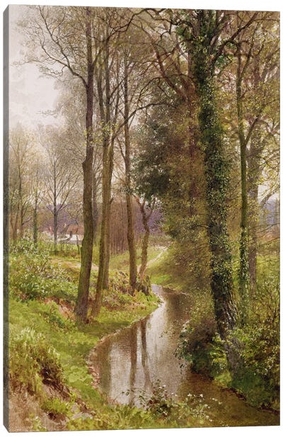Round My House: The Mill Stream, Ockham, 1880-86  Canvas Art Print
