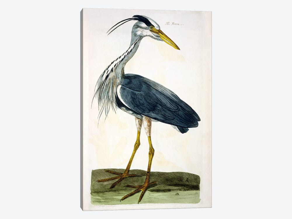 The Heron  by Peter Paillou 1-piece Canvas Art