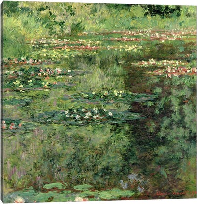 The Waterlily Pond, 1904  Canvas Art Print - Pond Art