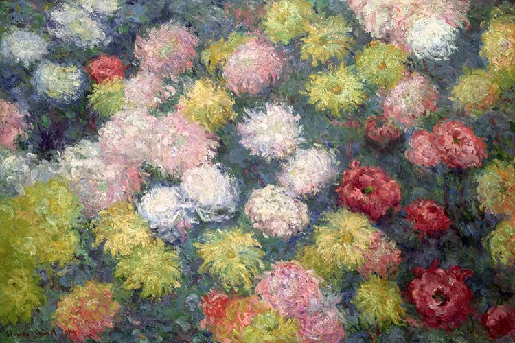 Chrysanthemums, 1897 