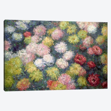 Chrysanthemums, 1897  Canvas Print #BMN1455} by Claude Monet Canvas Art