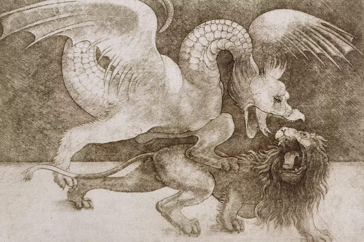 Fight between a Dragon and a Lion 