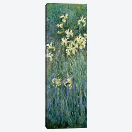 The Yellow Irises  Canvas Print #BMN1507} by Claude Monet Canvas Artwork