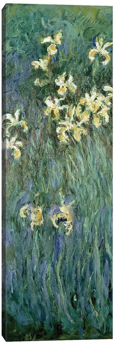 The Yellow Irises  Canvas Art Print - Wildflowers
