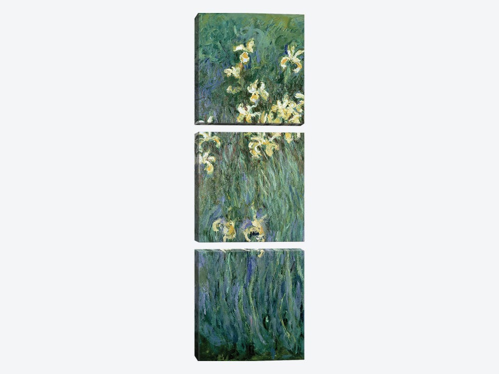 The Yellow Irises  3-piece Canvas Artwork
