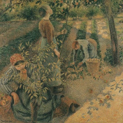 The Apple Pickers, 1886  by Camille Pissarro art print