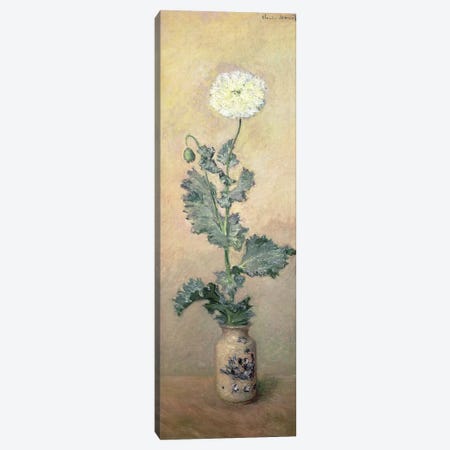 White Poppy, 1883  Canvas Print #BMN1594} by Claude Monet Canvas Art Print