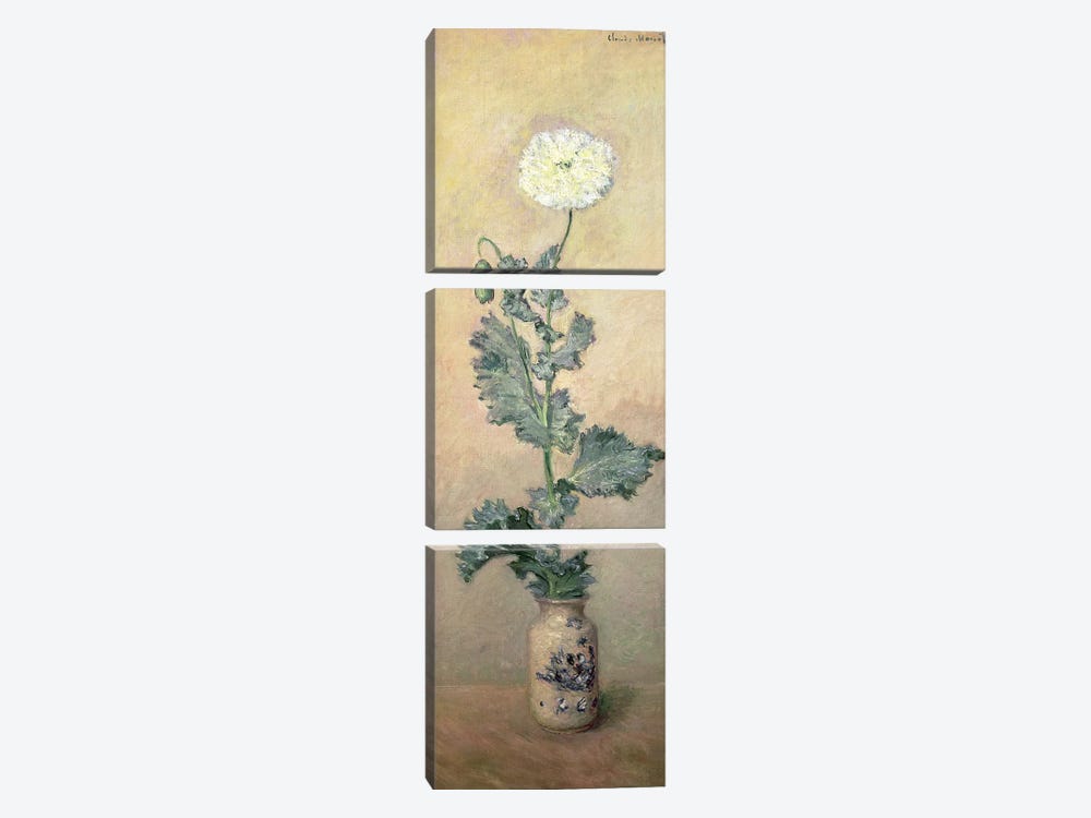 White Poppy, 1883  by Claude Monet 3-piece Canvas Wall Art