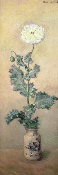Claude Monet: White Poppy, 1883  by Claude Monet