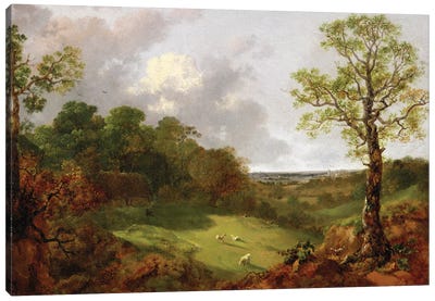 Wooded Landscape with a Cottage, Sheep and a Reclining Shepherd, c.1748-50  Canvas Art Print