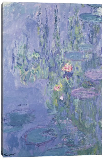 Waterlilies, 1907  Canvas Art Print - Pantone 2022 Very Peri