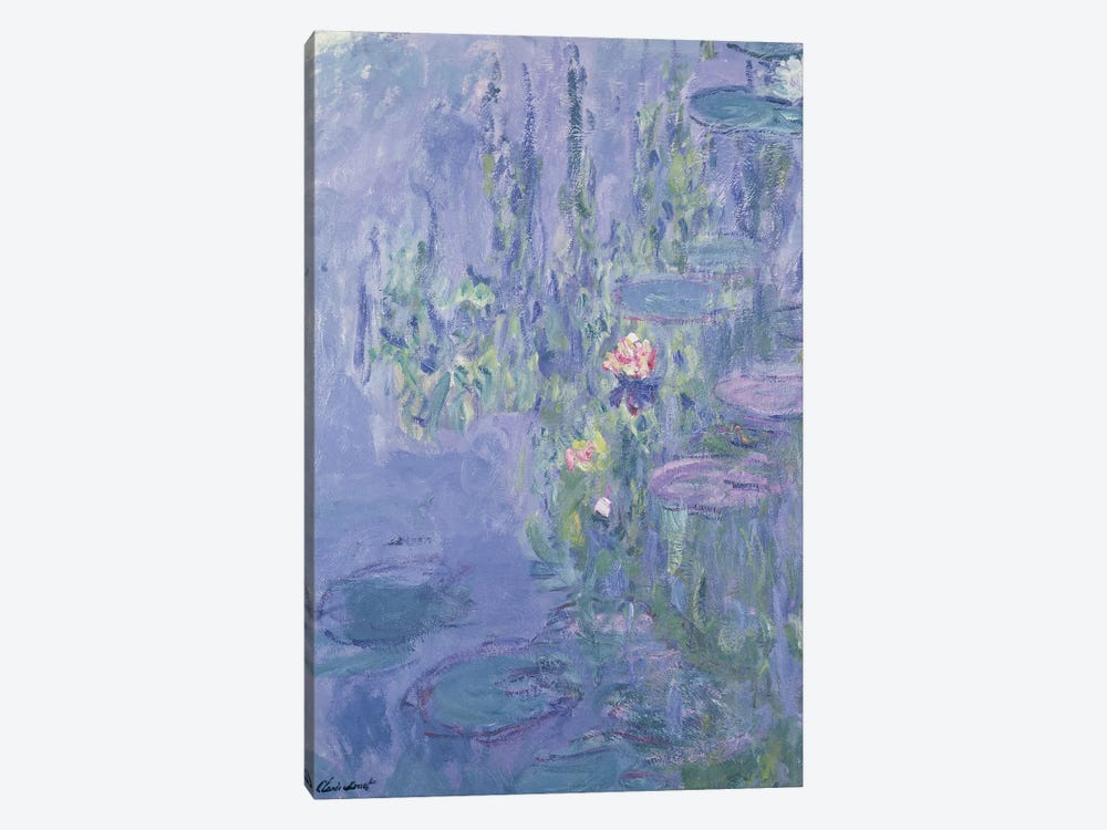 Waterlilies, 1907  by Claude Monet 1-piece Canvas Artwork