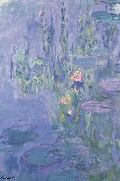 Claude Monet: Waterlilies, 1907 Portrait by Claude Monet