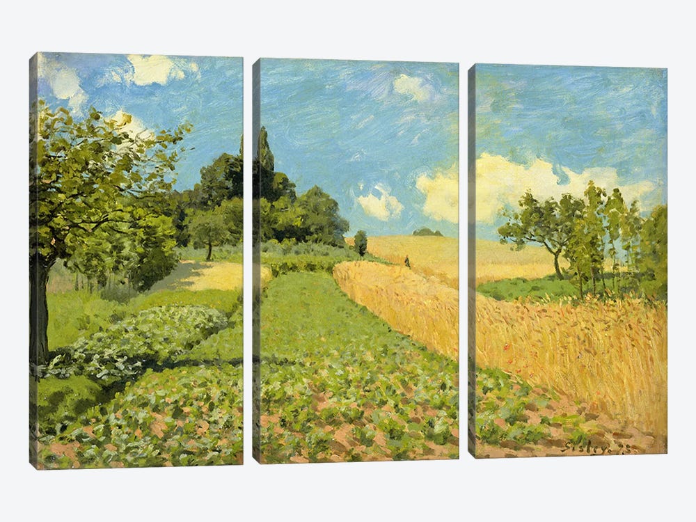 The Cornfield  by Alfred Sisley 3-piece Canvas Print