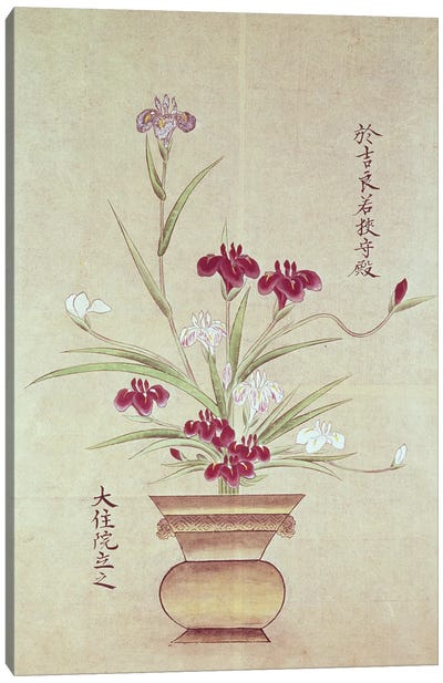 Orchids  Canvas Art Print