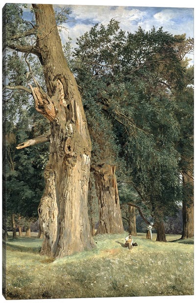 Old elms in Prater, 1831  Canvas Art Print