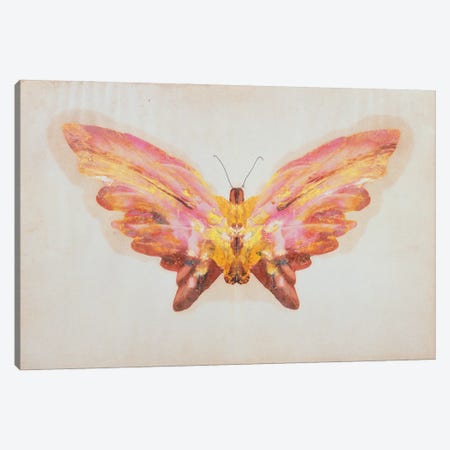 Butterfly  Canvas Print #BMN1974} by Albert Bierstadt Canvas Print